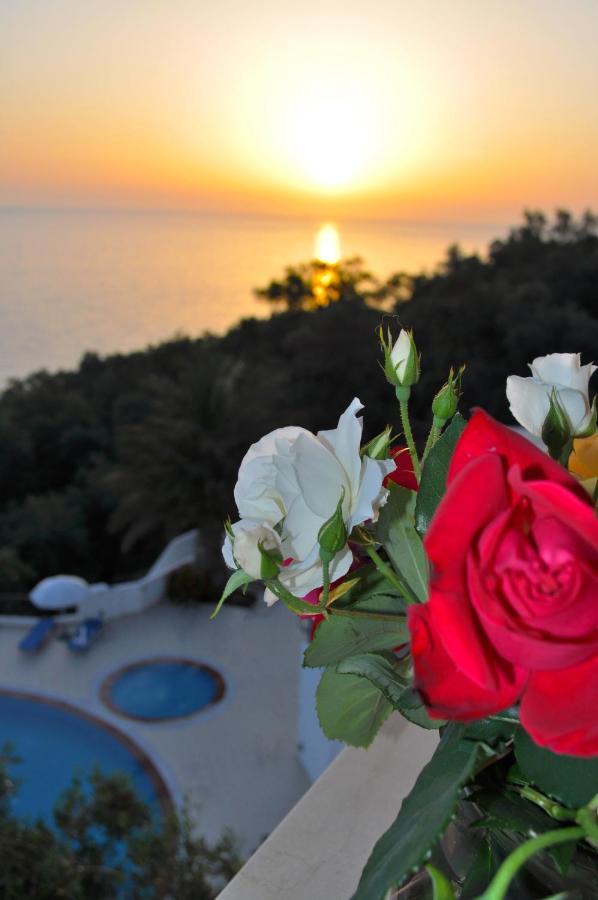Maria With Pool And Gorgeous View - Agios Gordios Appartement *